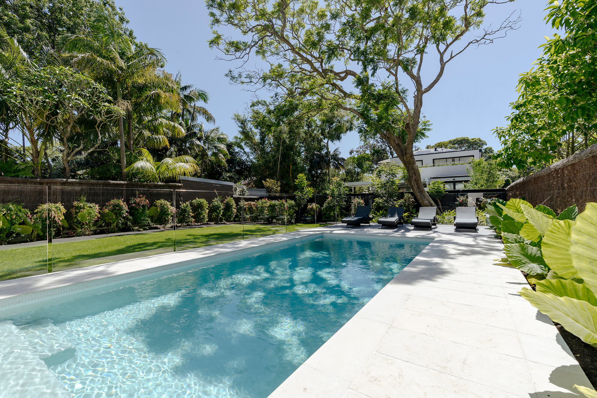 pool at rose bay home renovation sydney